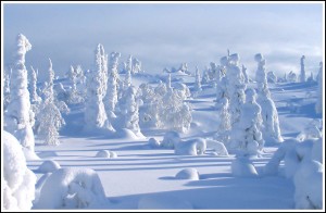 winter-lapland